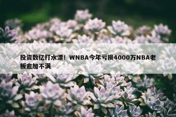 投资数亿打水漂！WNBA今年亏损4000万NBA老板愈加不满