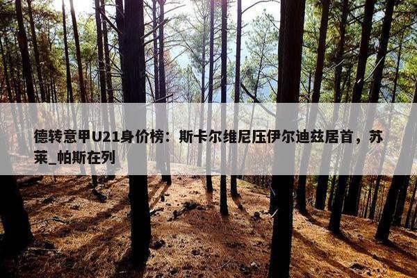 德转意甲U21身价榜：斯卡尔维尼压伊尔迪兹居首，苏莱_帕斯在列