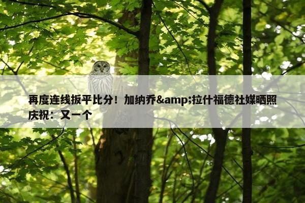 再度连线扳平比分！加纳乔&拉什福德社媒晒照庆祝：又一个