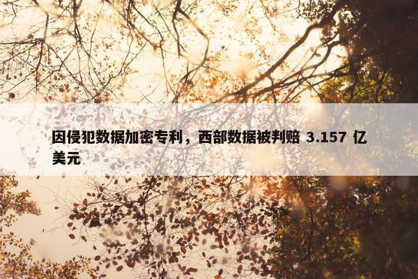 因侵犯数据加密专利，西部数据被判赔 3.157 亿美元