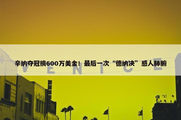 辛纳夺冠摘600万美金！最后一次“德纳决”感人肺腑