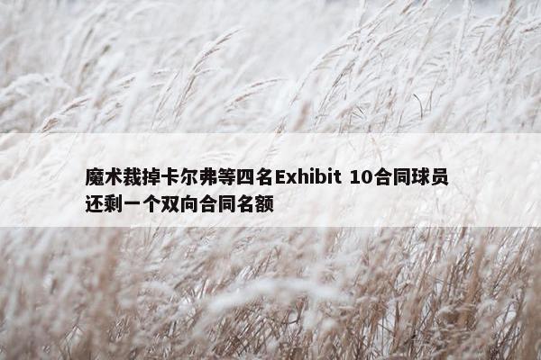 魔术裁掉卡尔弗等四名Exhibit 10合同球员 还剩一个双向合同名额