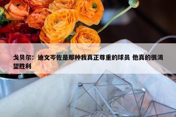 戈贝尔：迪文岑佐是那种我真正尊重的球员 他真的很渴望胜利