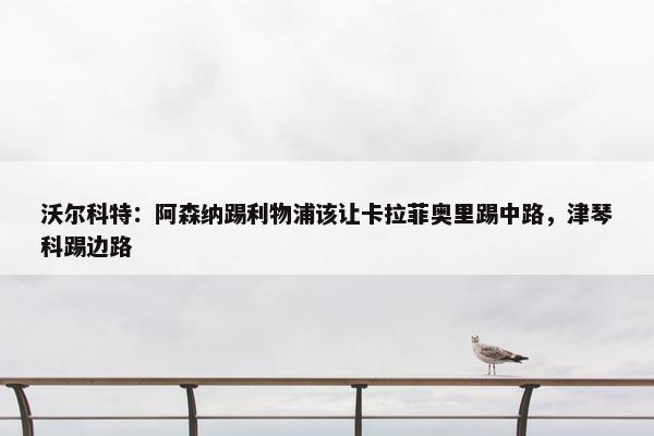 沃尔科特：阿森纳踢利物浦该让卡拉菲奥里踢中路，津琴科踢边路