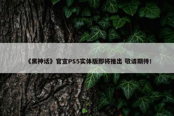 《黑神话》官宣PS5实体版即将推出 敬请期待！