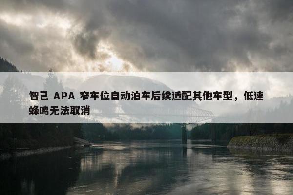 智己 APA 窄车位自动泊车后续适配其他车型，低速蜂鸣无法取消