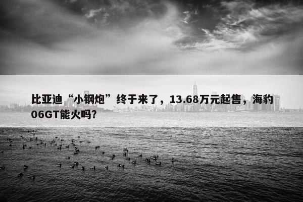 比亚迪“小钢炮”终于来了，13.68万元起售，海豹06GT能火吗？