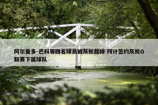 阿尔曼多-巴科等四名球员被灰熊裁掉 预计签约灰熊G联赛下属球队