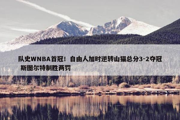 队史WNBA首冠！自由人加时逆转山猫总分3-2夺冠 斯图尔特制胜两罚