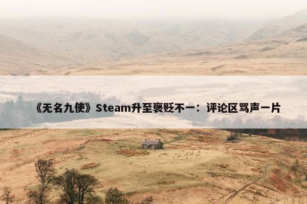 《无名九使》Steam升至褒贬不一：评论区骂声一片