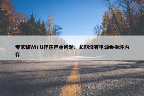 专家称Wii U存在严重问题：长期没有电源会损坏内存