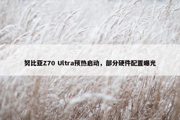 努比亚Z70 Ultra预热启动，部分硬件配置曝光