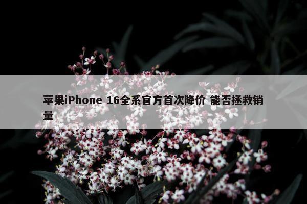 苹果iPhone 16全系官方首次降价 能否拯救销量