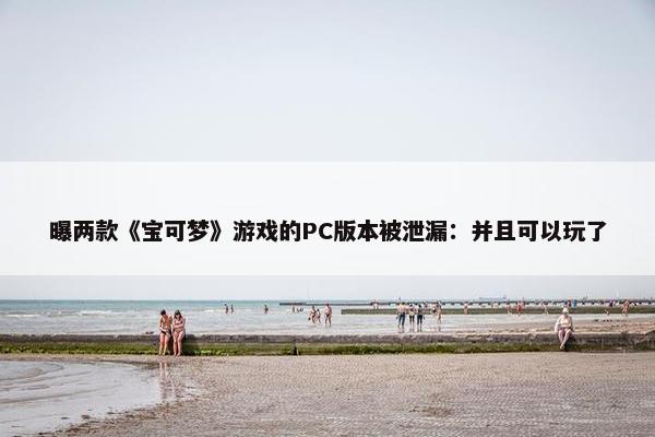 曝两款《宝可梦》游戏的PC版本被泄漏：并且可以玩了