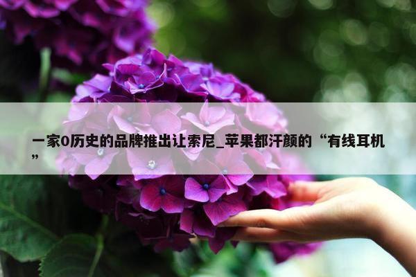 一家0历史的品牌推出让索尼_苹果都汗颜的“有线耳机”