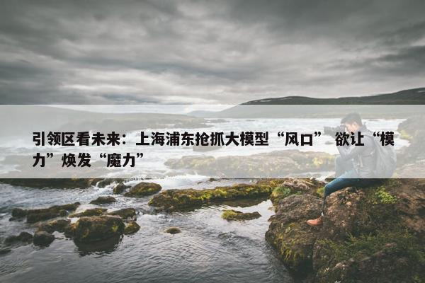 引领区看未来：上海浦东抢抓大模型“风口” 欲让“模力”焕发“魔力”