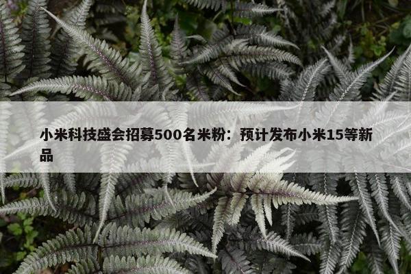 小米科技盛会招募500名米粉：预计发布小米15等新品