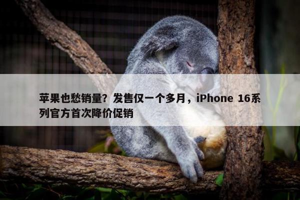 苹果也愁销量？发售仅一个多月，iPhone 16系列官方首次降价促销