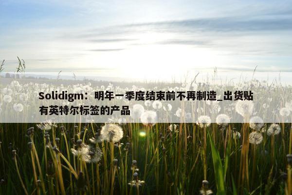 Solidigm：明年一季度结束前不再制造_出货贴有英特尔标签的产品