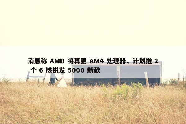 消息称 AMD 将再更 AM4 处理器，计划推 2 个 6 核锐龙 5000 新款