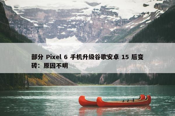 部分 Pixel 6 手机升级谷歌安卓 15 后变砖：原因不明