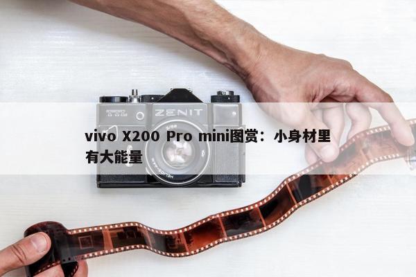 vivo X200 Pro mini图赏：小身材里有大能量