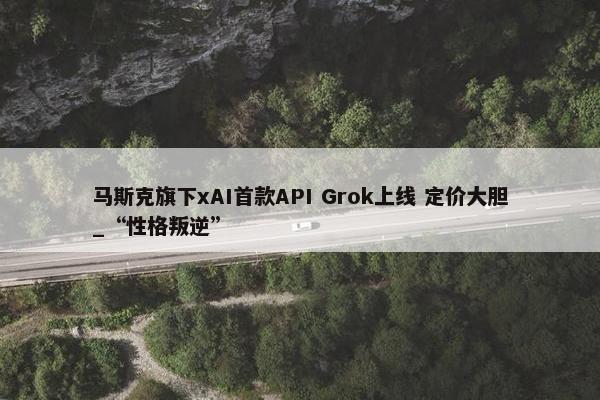 马斯克旗下xAI首款API Grok上线 定价大胆_“性格叛逆”