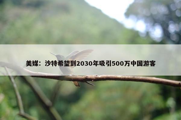 美媒：沙特希望到2030年吸引500万中国游客