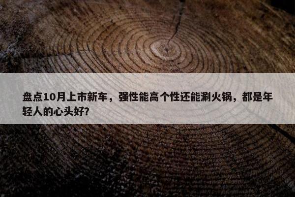 盘点10月上市新车，强性能高个性还能涮火锅，都是年轻人的心头好？