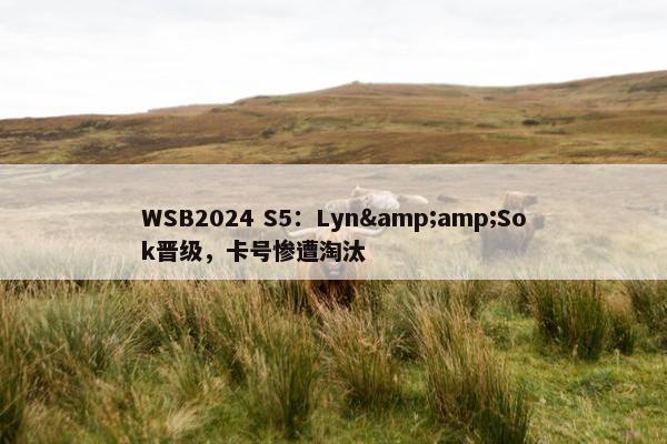 WSB2024 S5：Lyn&amp;Sok晋级，卡号惨遭淘汰