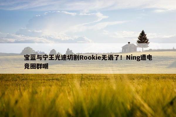 宝蓝与宁王光速切割Rookie无语了！Ning遭电竞圈群嘲