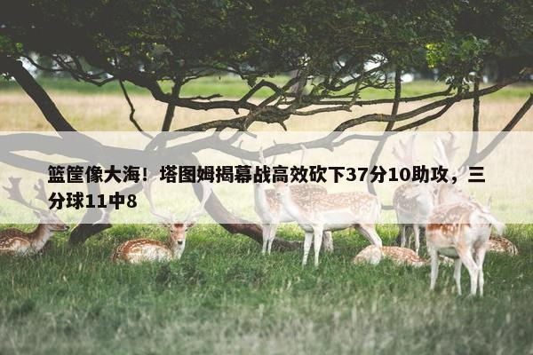 篮筐像大海！塔图姆揭幕战高效砍下37分10助攻，三分球11中8