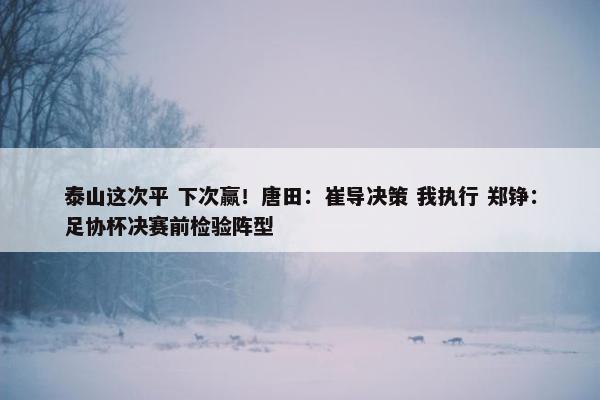 泰山这次平 下次赢！唐田：崔导决策 我执行 郑铮：足协杯决赛前检验阵型