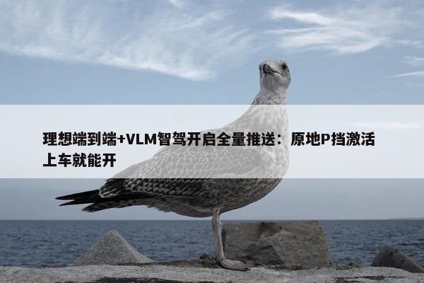 理想端到端+VLM智驾开启全量推送：原地P挡激活 上车就能开