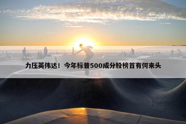 力压英伟达！今年标普500成分股榜首有何来头