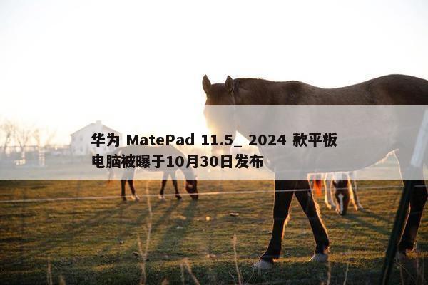 华为 MatePad 11.5_ 2024 款平板电脑被曝于10月30日发布