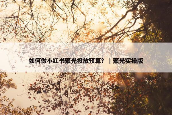 如何做小红书聚光投放预算？｜聚光实操版