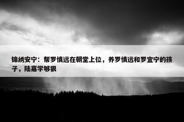 锦绣安宁：帮罗慎远在朝堂上位，养罗慎远和罗宜宁的孩子，陆嘉学够狠