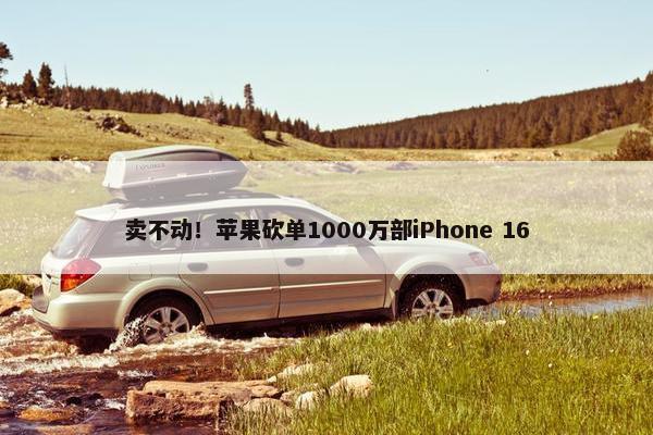 卖不动！苹果砍单1000万部iPhone 16