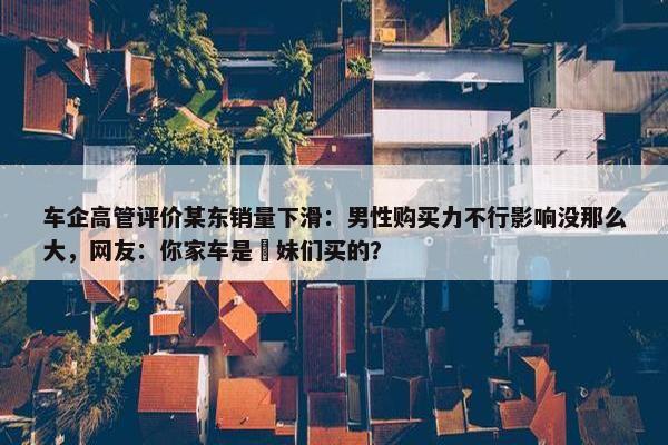 车企高管评价某东销量下滑：男性购买力不行影响没那么大，网友：你家车是媎妹们买的？