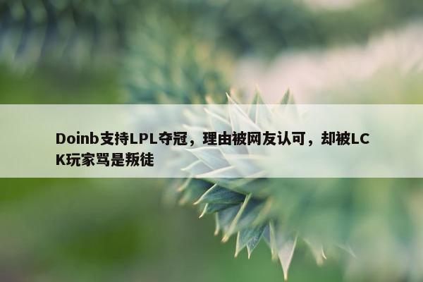 Doinb支持LPL夺冠，理由被网友认可，却被LCK玩家骂是叛徒