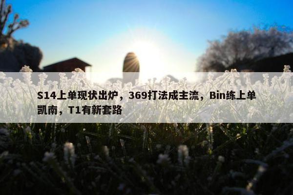 S14上单现状出炉，369打法成主流，Bin练上单凯南，T1有新套路