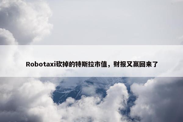 Robotaxi砍掉的特斯拉市值，财报又赢回来了