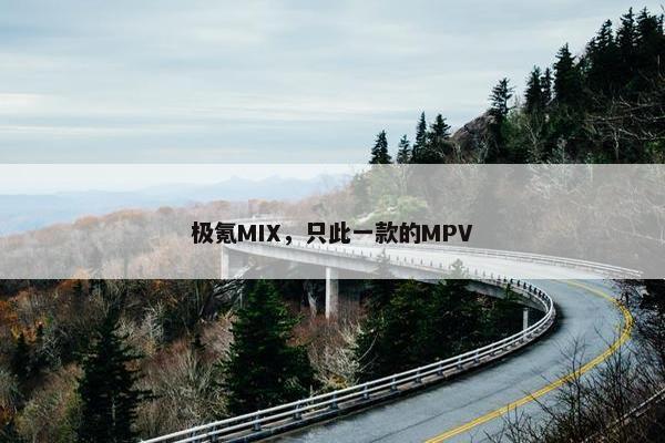 极氪MIX，只此一款的MPV