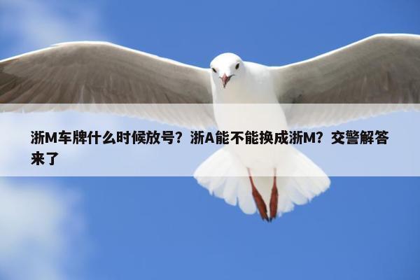 浙M车牌什么时候放号？浙A能不能换成浙M？交警解答来了