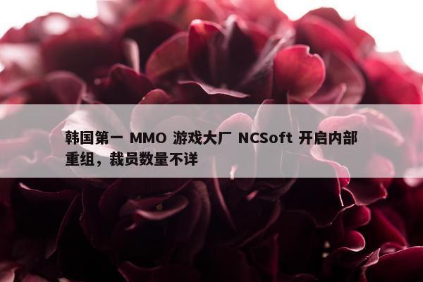 韩国第一 MMO 游戏大厂 NCSoft 开启内部重组，裁员数量不详