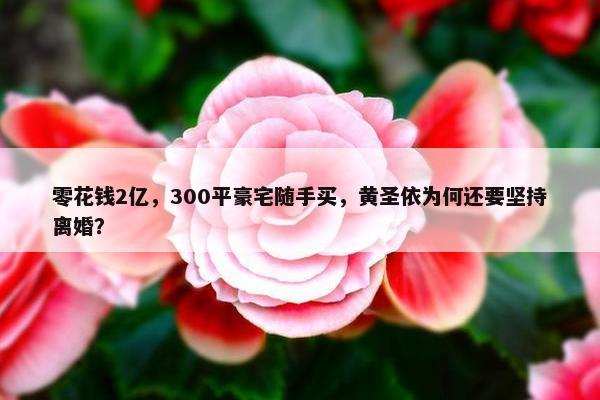 零花钱2亿，300平豪宅随手买，黄圣依为何还要坚持离婚？