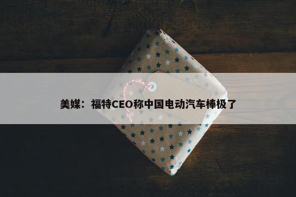 美媒：福特CEO称中国电动汽车棒极了