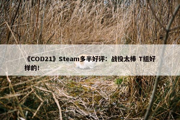 《COD21》Steam多半好评：战役太棒 T组好样的！