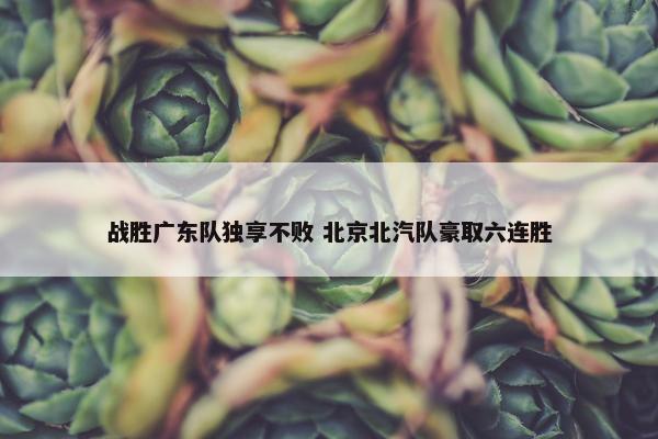 战胜广东队独享不败 北京北汽队豪取六连胜